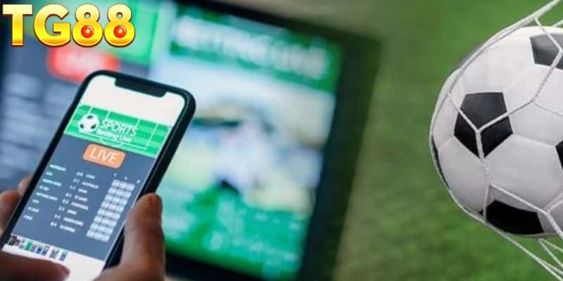 Cá cược thể thao, tỷ lệ cược hấp dẫn..